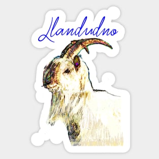 LLANDUDNO GREAT ORME GOAT BLUE Sticker